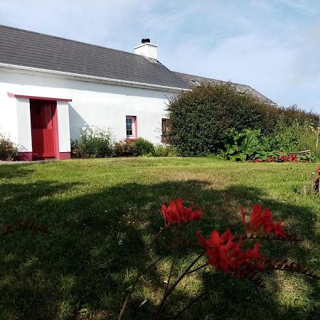 B&B The Red Door Cottage 도니골 외부 사진