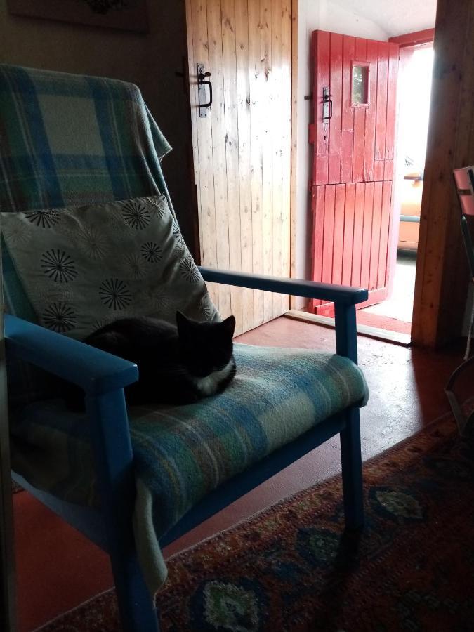 B&B The Red Door Cottage 도니골 외부 사진
